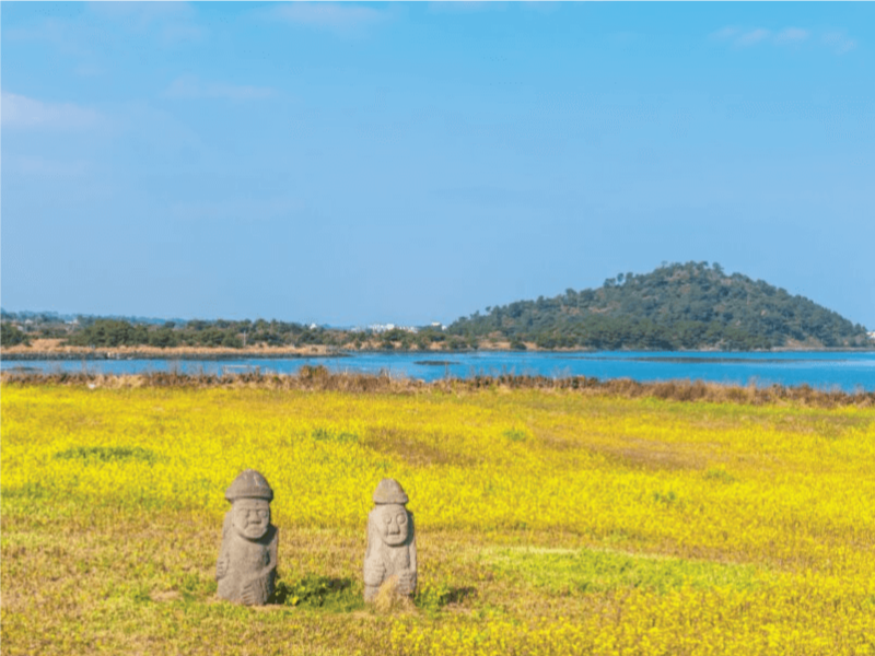 TOUR HÀN QUỐC MÙA THU: HN - SEOUL - JEJU - NAMI - CỎ HỒNG BAY OZ